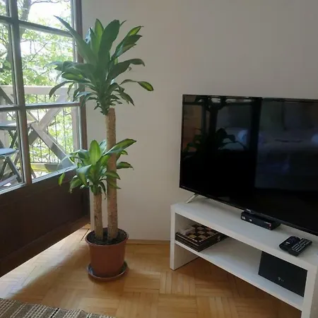 Apartament Kasztanowa *
